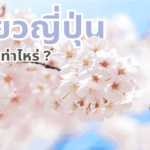 Cherry blossoms with travel text