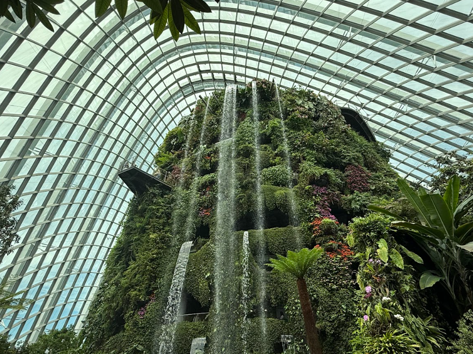 Indoor waterfall amidst lush greenery