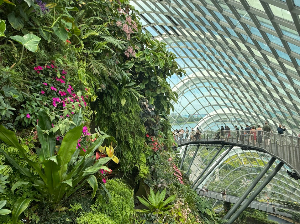 Lush indoor garden with visitors.
