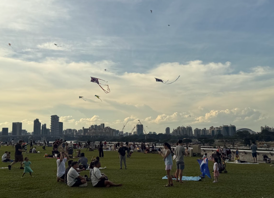People flying kites in park