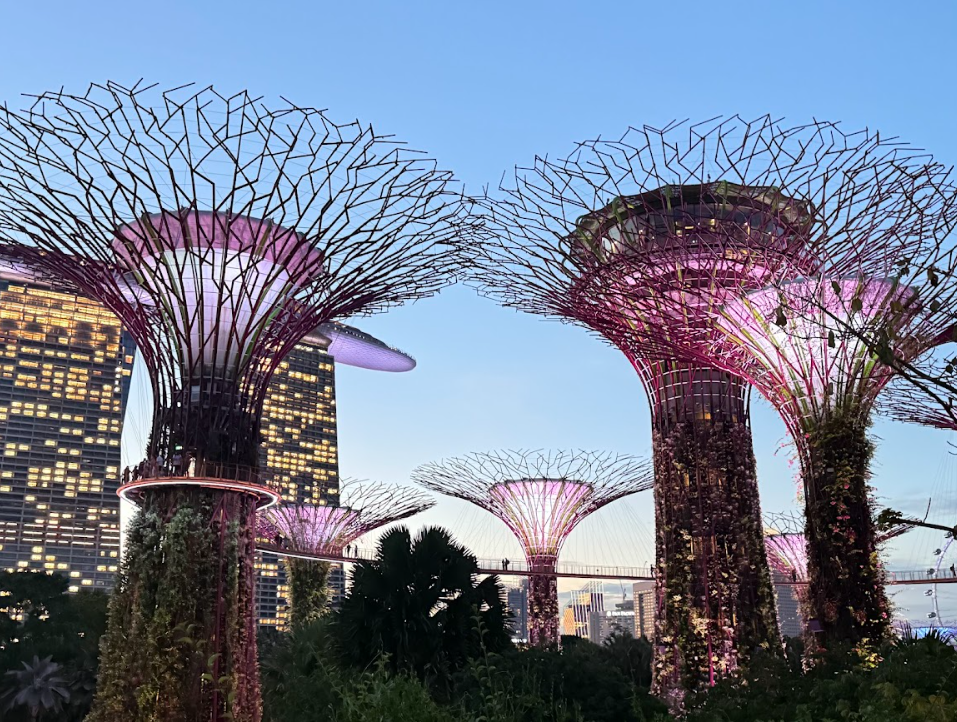 Futuristic trees illuminated at dusk