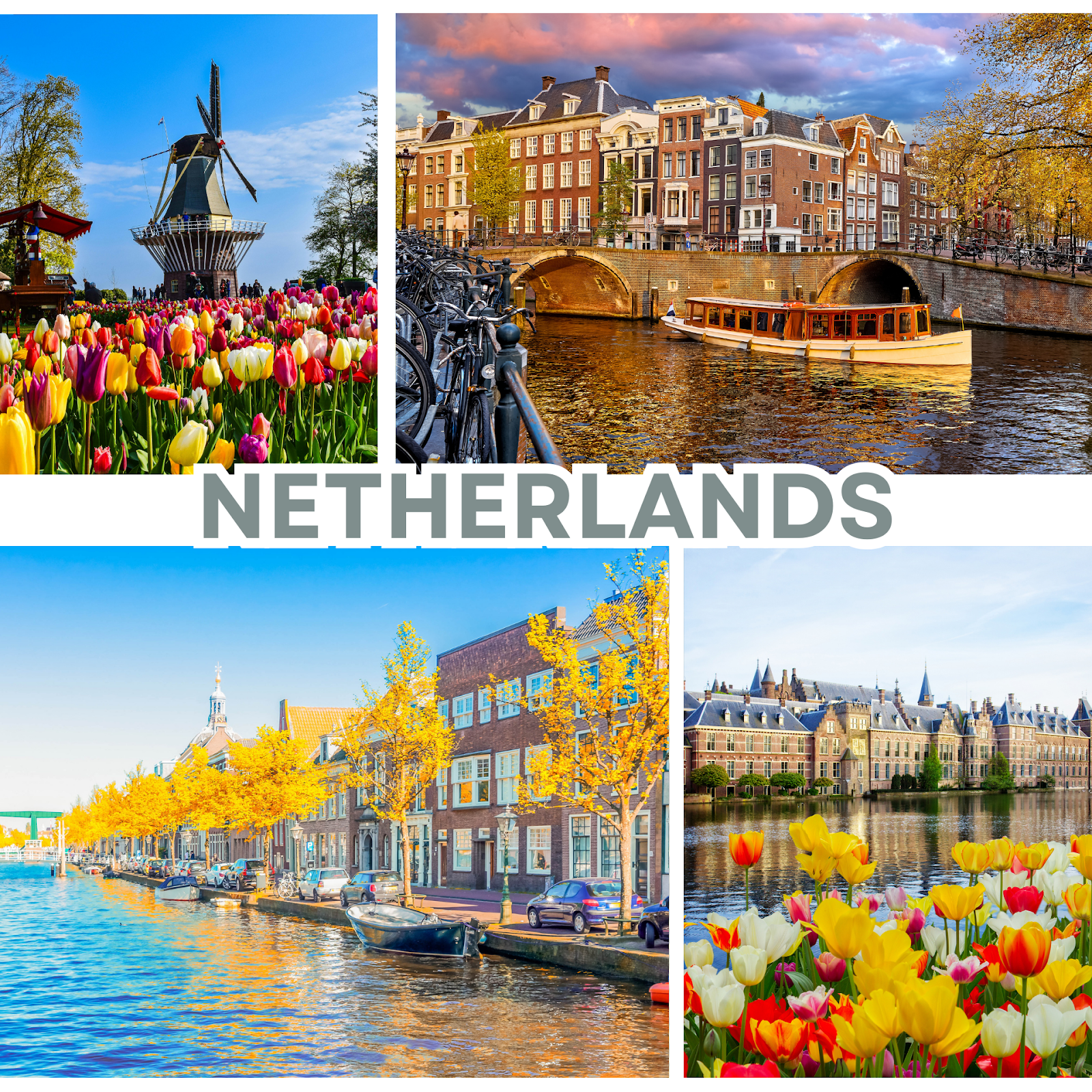 Netherlands travel collage with Amsterdam canals, Dutch windmill, tulip fields and historic buildings