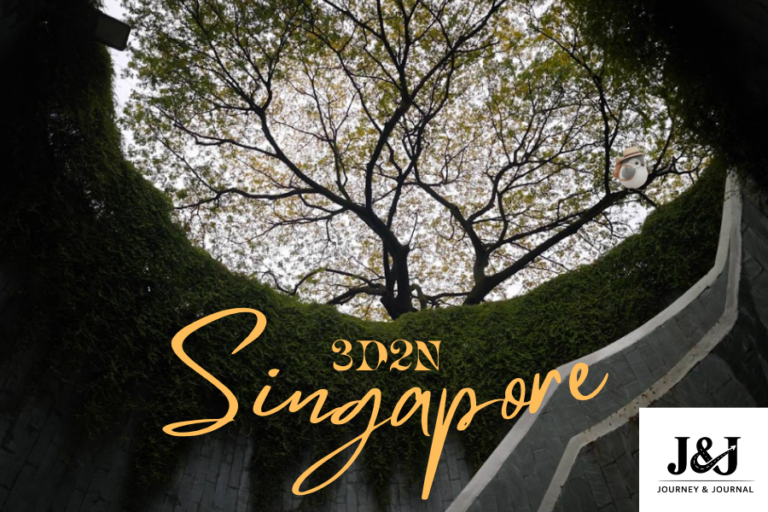 Fort Canning Tree Tunnel in Singapore, a popular photo spot with a scenic upward tree view.