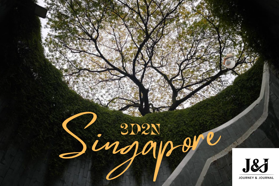 Fort Canning Tree Tunnel in Singapore, a popular photo spot with a scenic upward tree view.